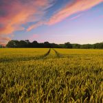 Brrr, milyen idegen anyagok lehetnek az ételekben?