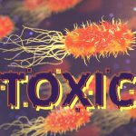 Tények a kegyetlen és toxikus E. coli baktériumról