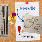 Te ismered? Ki az a „Salmon Ella”? Van Face oldala?