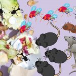 Jesszusom, Te is látod, mi mozog ott?